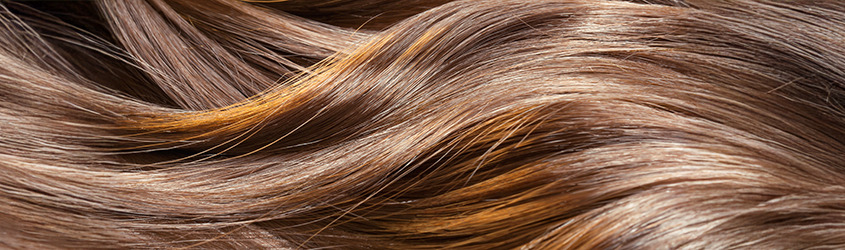 Interessante Fakten über Haare