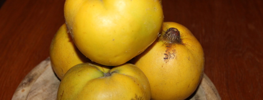 Hautpflege mit Quitten