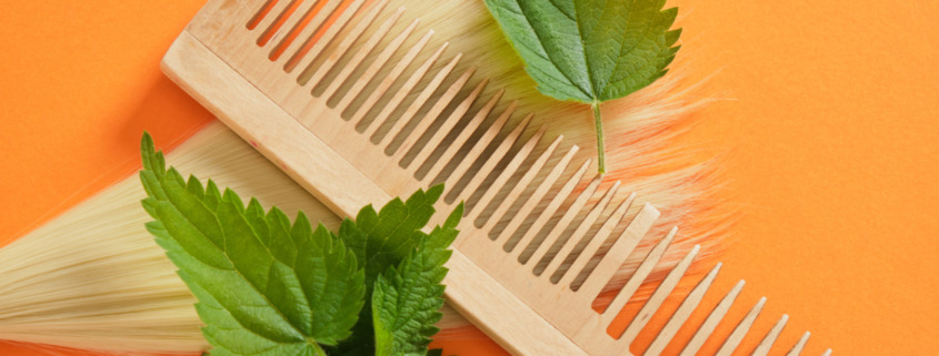 Brennnessel Haarpflege