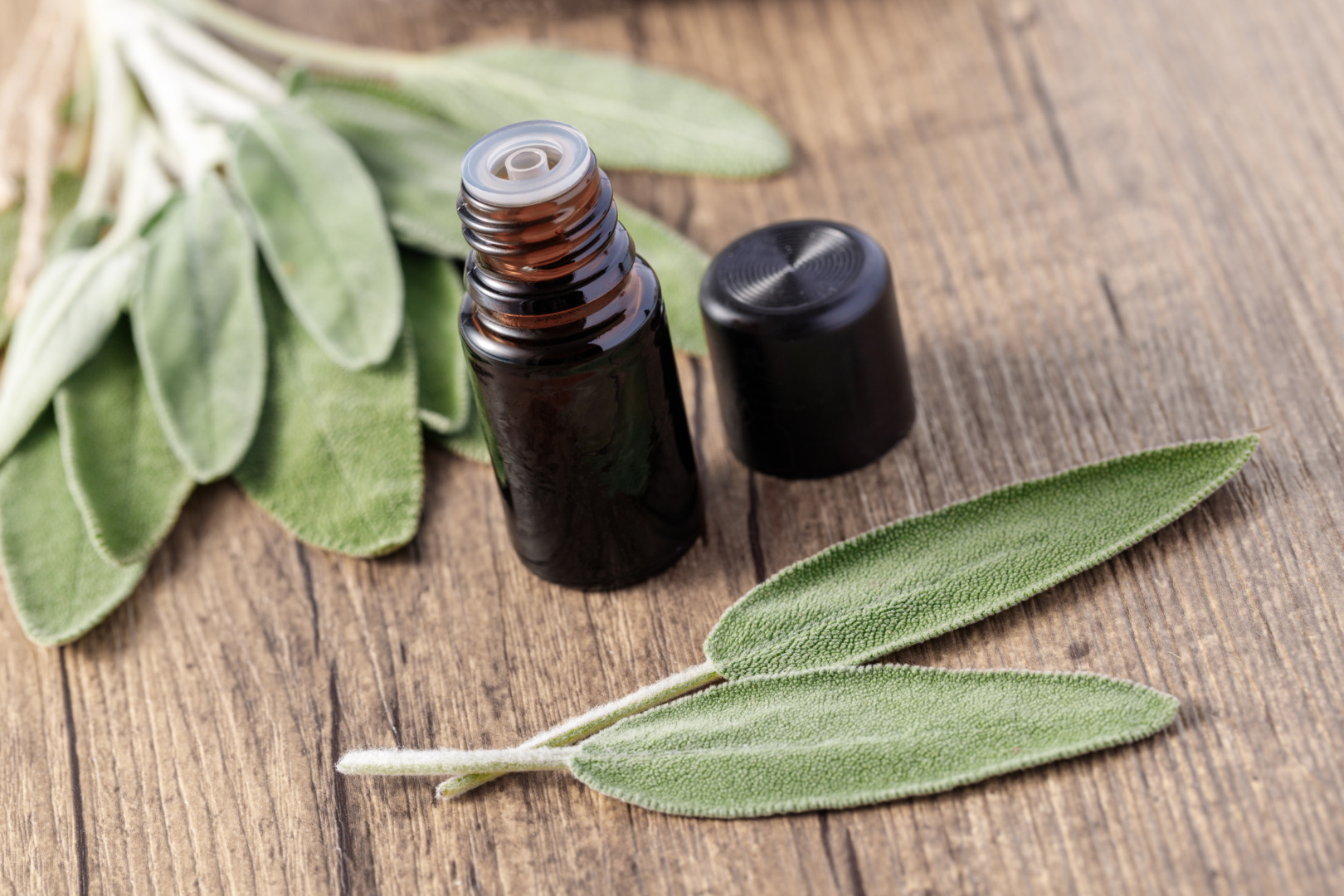 Salbei Naturkosmetik