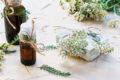 Seifenkraut für DIY Kosmetik