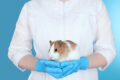 Medizinisches Personal mit Hamster auf den Händen